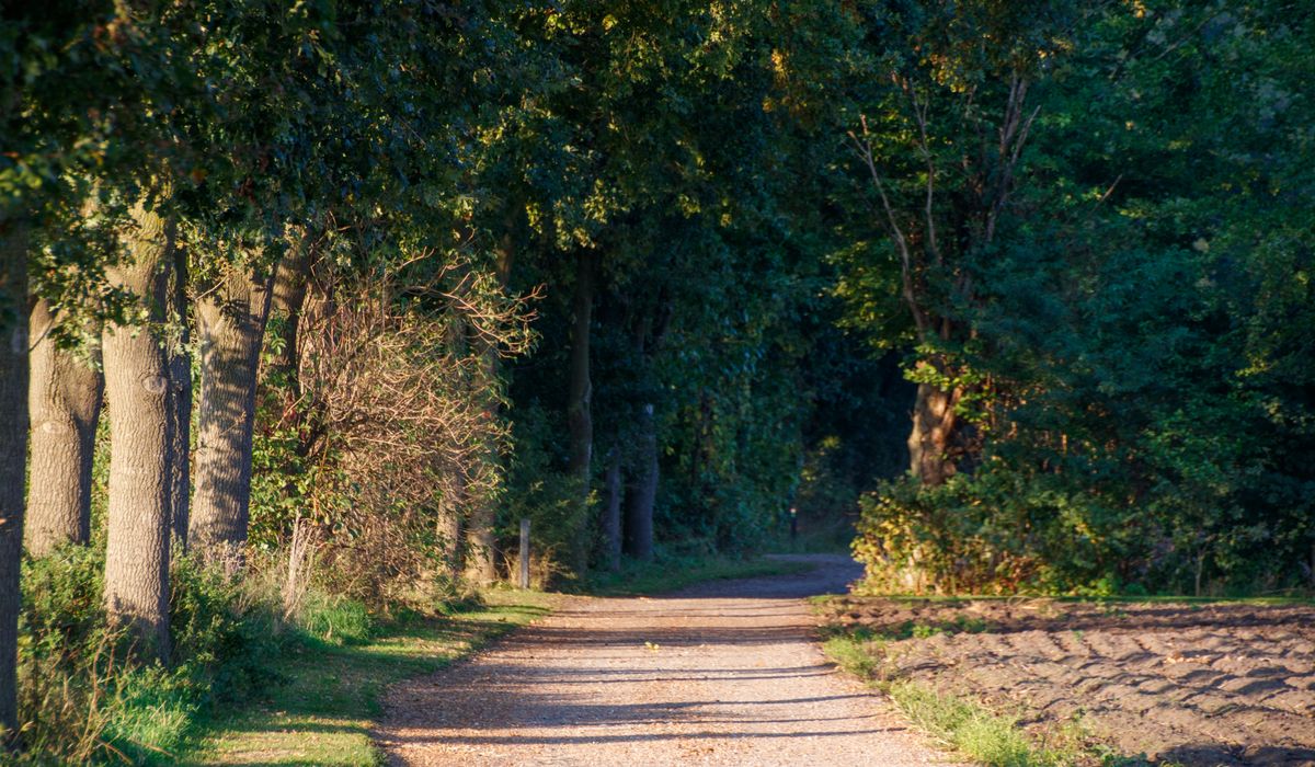 How to Travel Slowly by Train to Rural Villages