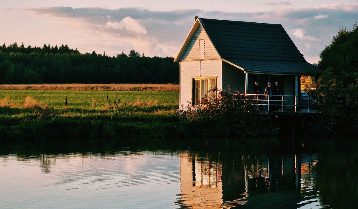 Spotting British Wildlife from a Countryside Hide